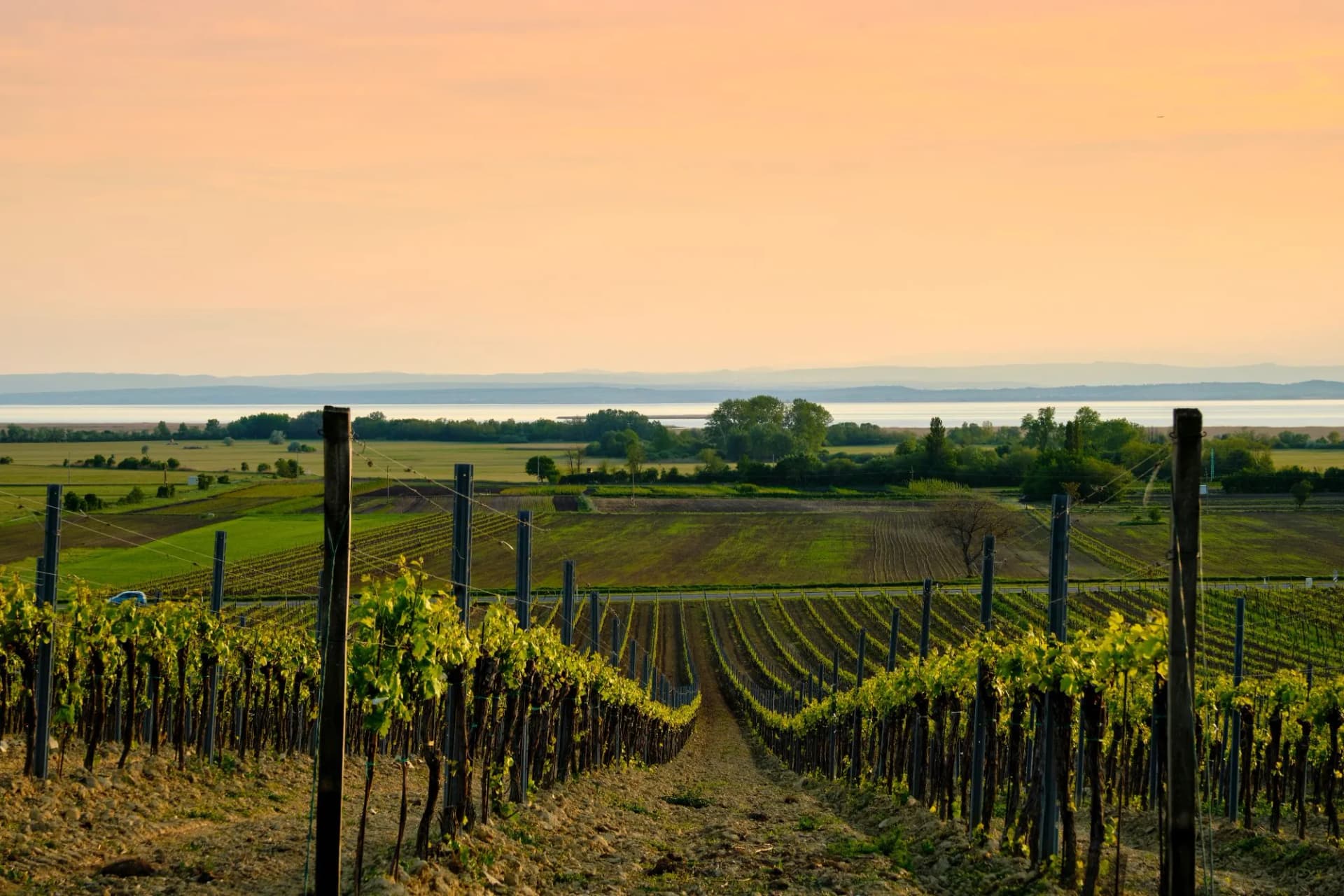 Neusiedler Region Austria