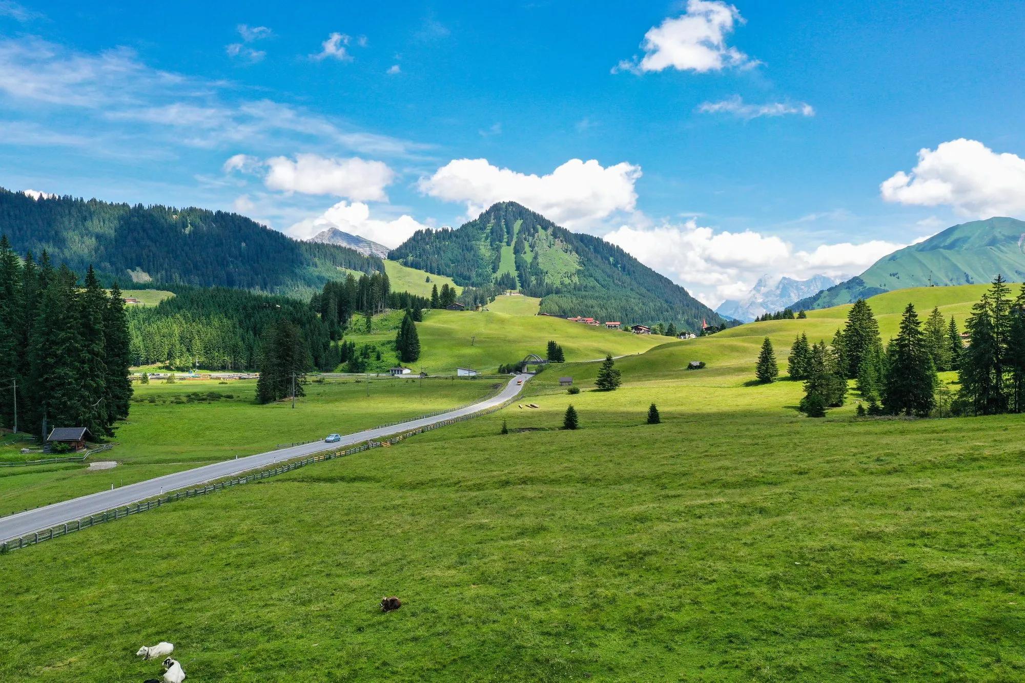 Enjoy Austrian countryside