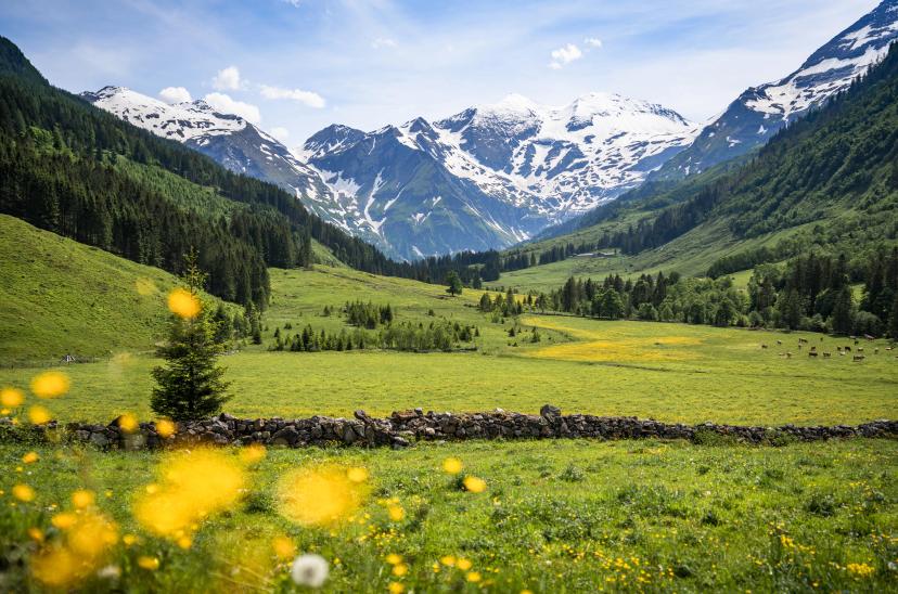 Hohe Tauern National Park image 1