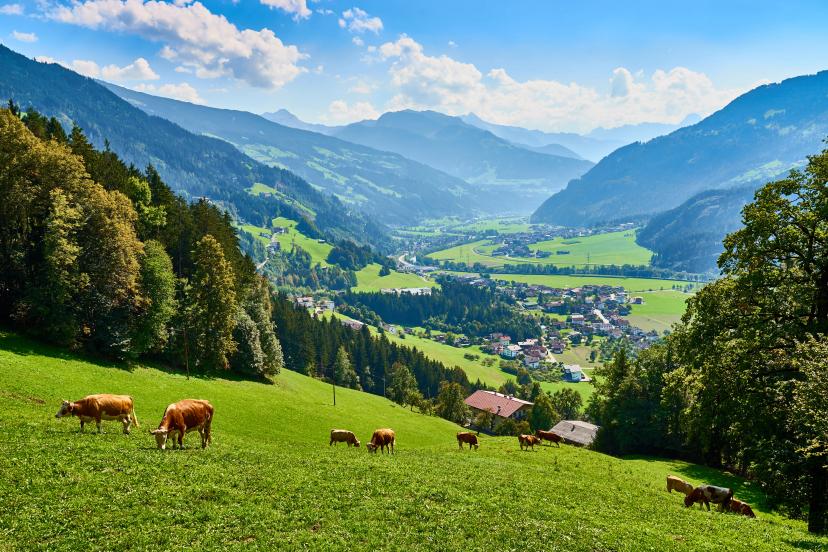 Zillertal Valley image 1