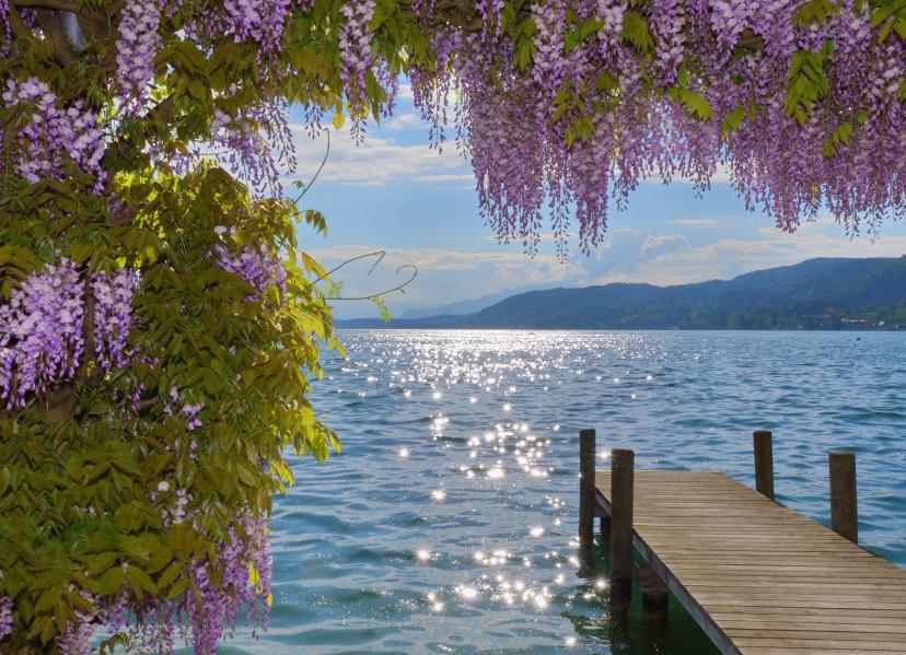 Lake Wörthersee image 1