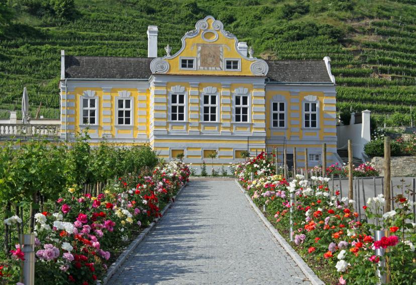 Domäne Wachau image 1