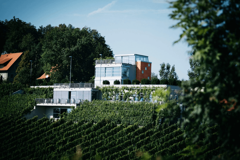 Weingut Tement image 1