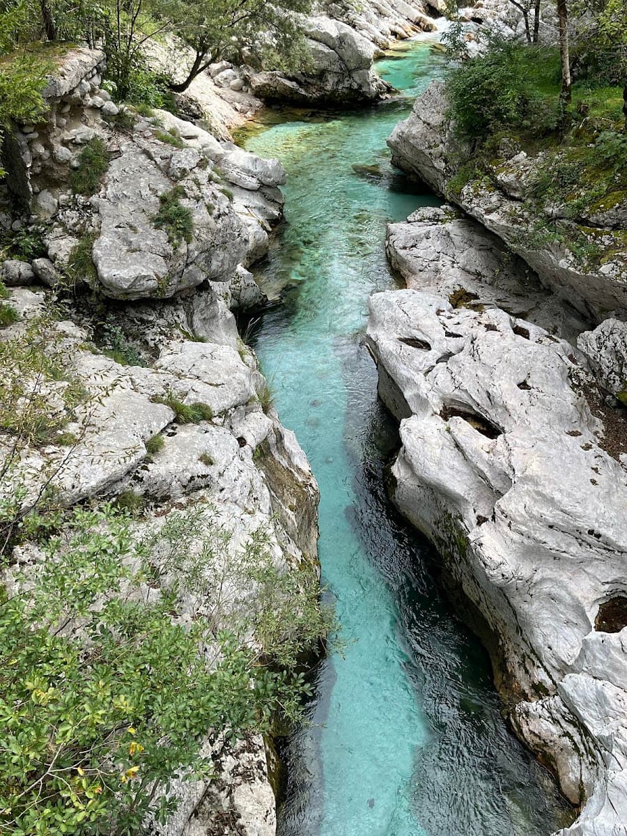 Turquoise river flowing through a narrow gorge with white rocks and green foliage