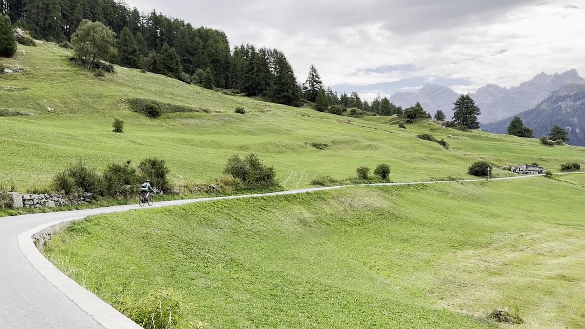 Cyclist riding on a paved road through green alpine meadows and hills