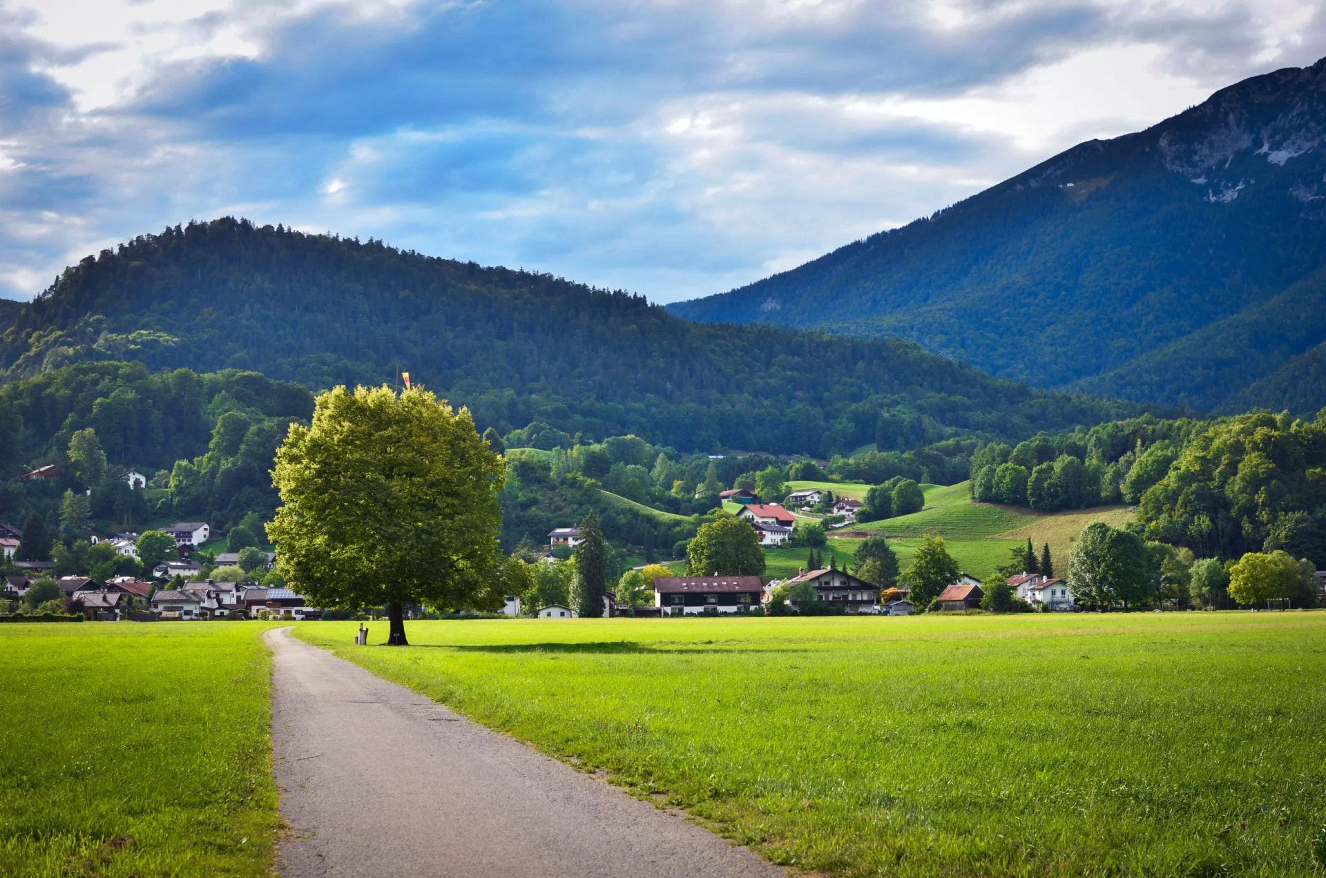 nature austria