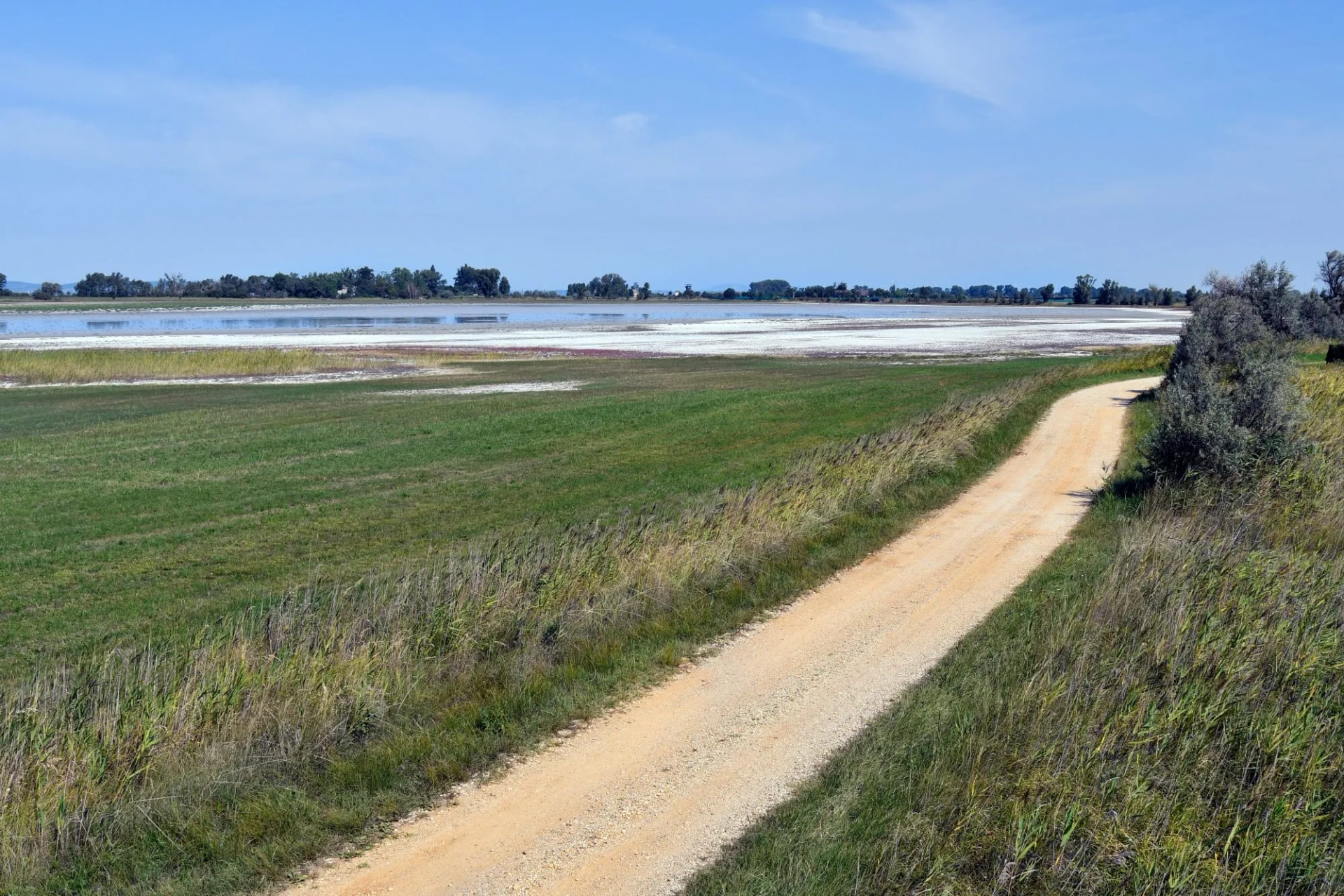 Neusiedlersee