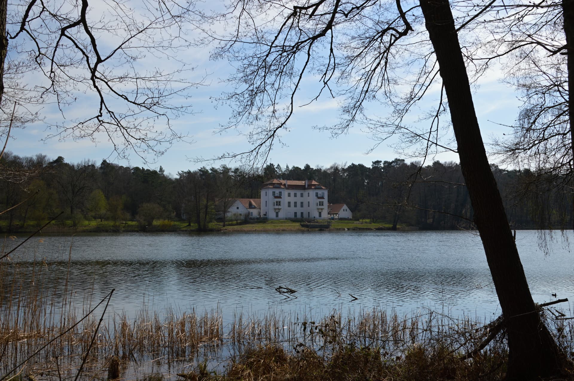 White manor house across a lake framed by dark, bare tree branches and reeds.