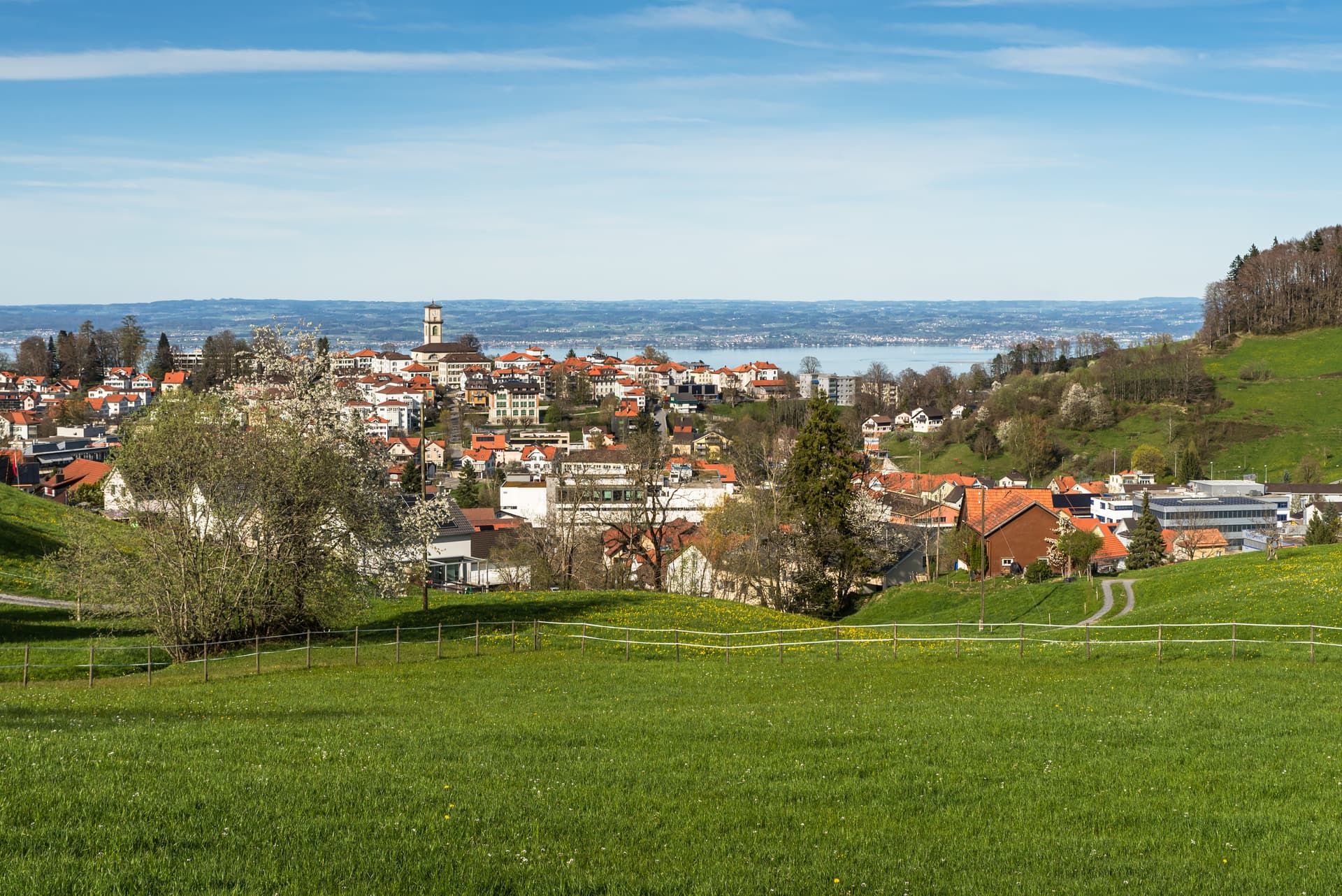 View of Heiden village with red roofs overlooking Lake Constance under a blue sky.