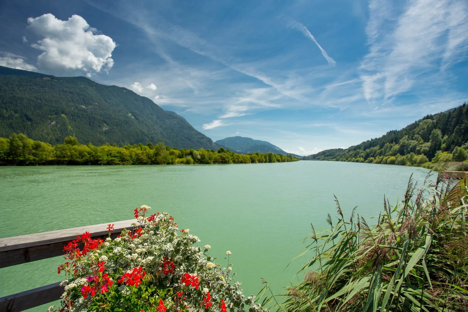 River with turquoise water, green mountains, and bright flowers in foreground