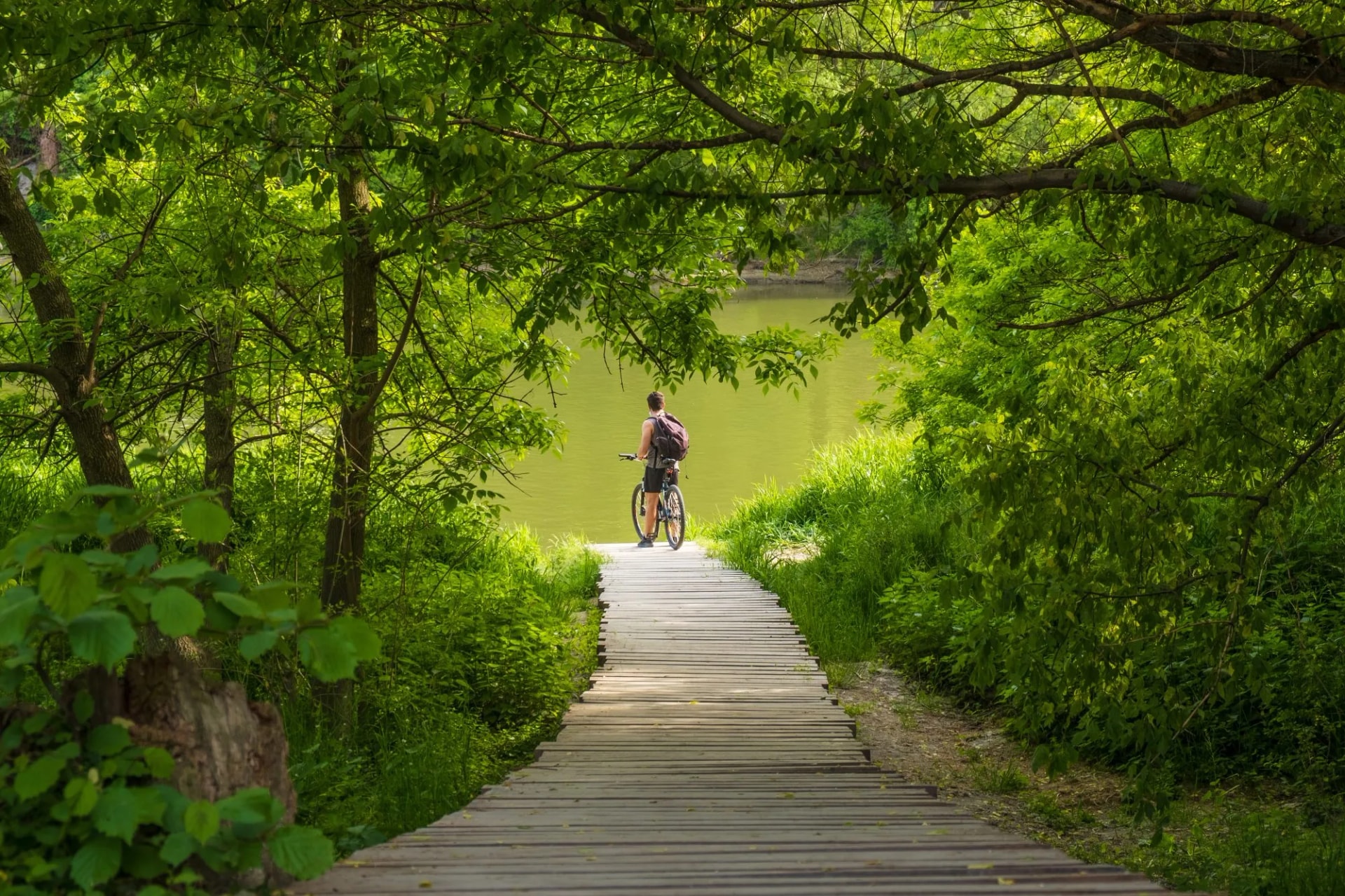 Donau-Radweg: Wien nach Budapest