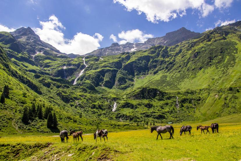 Gastein Valley image 1