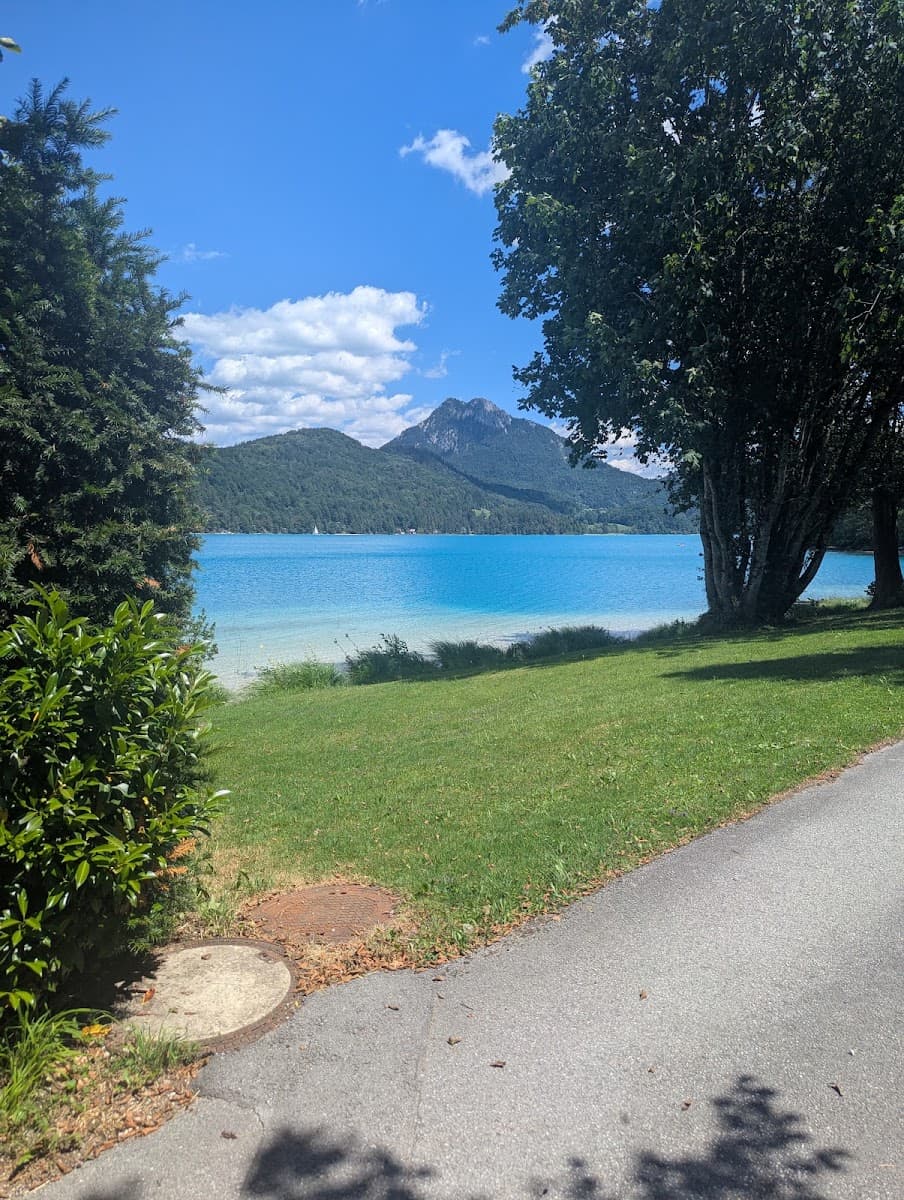Alpine lake with turquoise water and mountain backdrop framed by trees and grassy shore