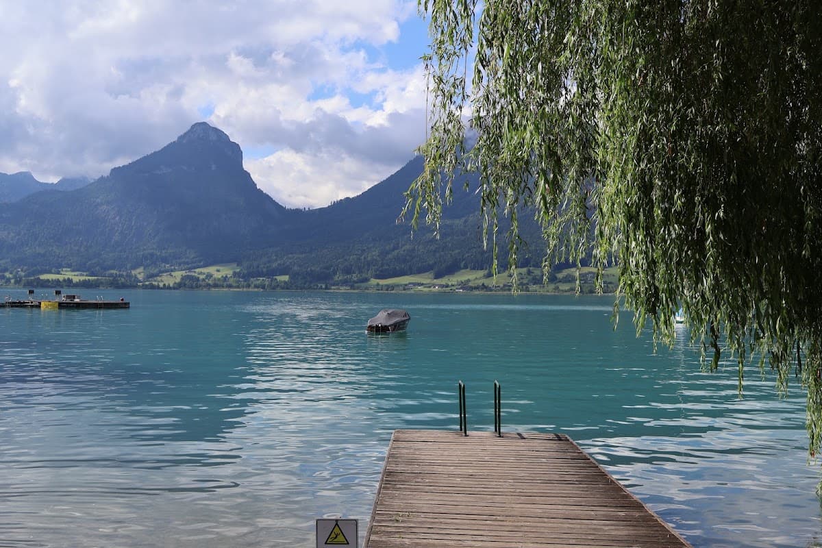 Wooden dock on alpine lake with mountain peaks and weeping willow branches